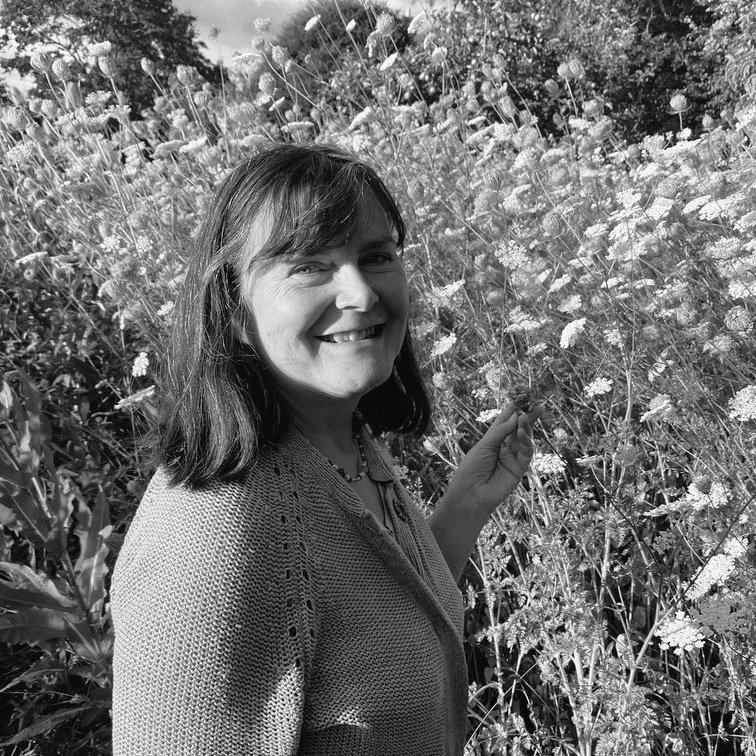 skemplandscape's tweet photo. #NewProfilePic https://t.co/ywl5McqQvr