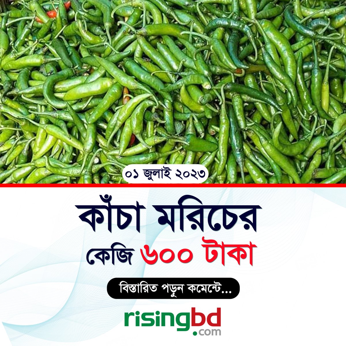 risingbdnews's tweet image. বেড়েই চলেছে কাঁচা মরিচের দাম। রাজবাড়ীতে প্রতি কেজি কাঁজা মরিচ বিক্রি  হচ্ছে ৬০০ টাকায়। এদিকে, সরকার গত ২৫ জুন কাঁচা মরিচ আমদানির অনুমতি দিলেও  কমছে না মরিচের দাম।
risingbd.com/bangladesh/new…
#Rajbari #Chilli #Price #pricehike #Infographic #PhotoNews #RisingBD