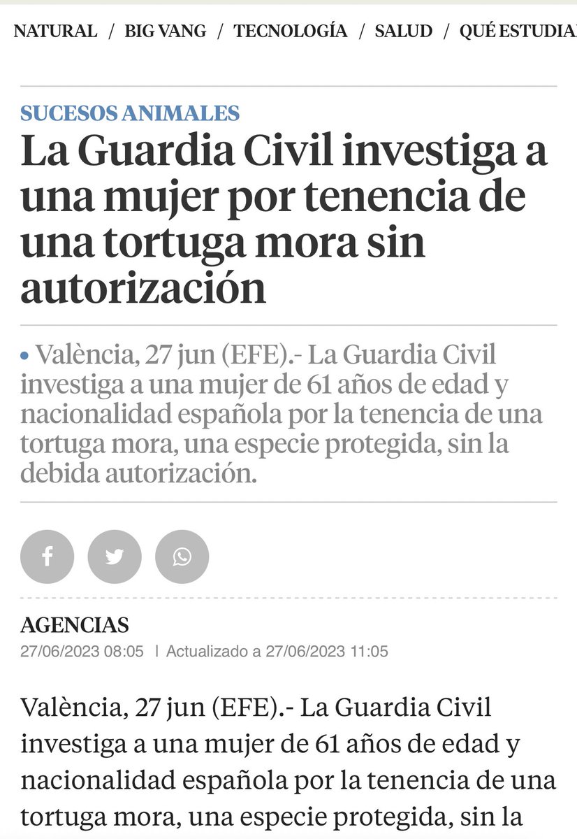 Prometiste acabar con los toros y la caza y acabaste quitándole tortugas a las abuelitas. 

Eres un sectario, un atraca yayas, y un puto inútil,