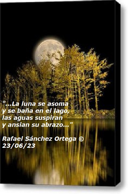 '...La luna se asoma
y se baña en el lago,
las aguas suspiran
y ansían su abrazo...'

Rafael Sánchez Ortega ©
23/06/23

#LetrasYLatidos
#ClubDelNovelista
#LYF15
#PAficionados
#SocioPoetas