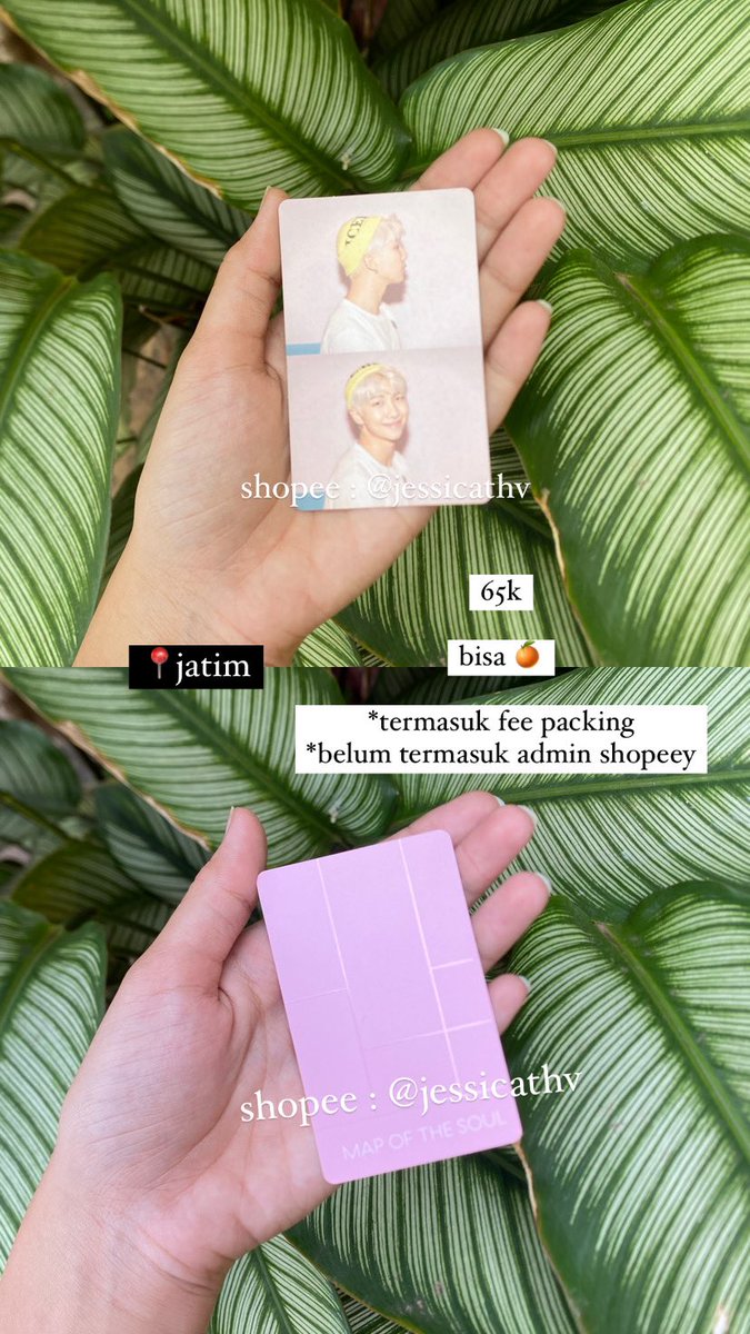 jess tweet media