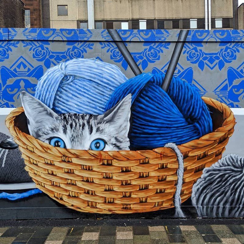 #StreetArt by Rogue One 📍Glasgow, UK 🇬🇧 
Happy #Caturday 💙🐾