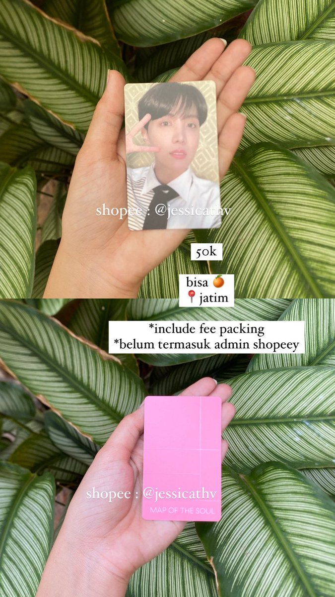 jess tweet media