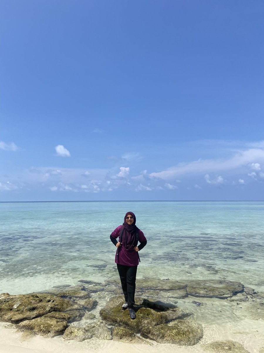 tulipsxoxo's tweet photo. It’s been a while ~ 🌊
#timbatimbaisland
#matakingisland
#pompomisland https://t.co/9w0kq0rVBS