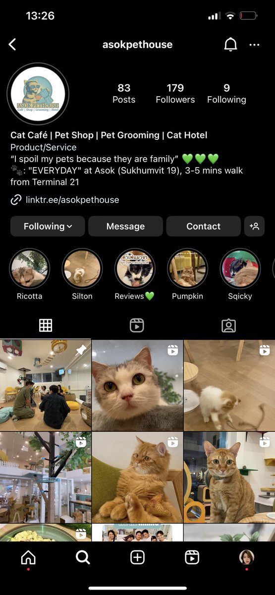 pimmynhango's tweet photo. Asokpethouse ร้านคาเฟ่ที่รับแมวถูกทิ้ง + มีโซนให้ adopt แมว 
📷Ig: asokpethouse 

- ร้านอยู่ซอยข้าง terminal 21 อโศก (เดินทางลง bts อโศก) 
- เปิดทุกวัน 8:00 - 22:00
- โซน adopt แมว เปิดทุก เสาร์ - อาทิตย์ (เจ้าหน้าที่จาก pawsbangkok) 

รายละเอียดของร้าน ⬇️(1) https://t.co/MxlRwvW9Xm