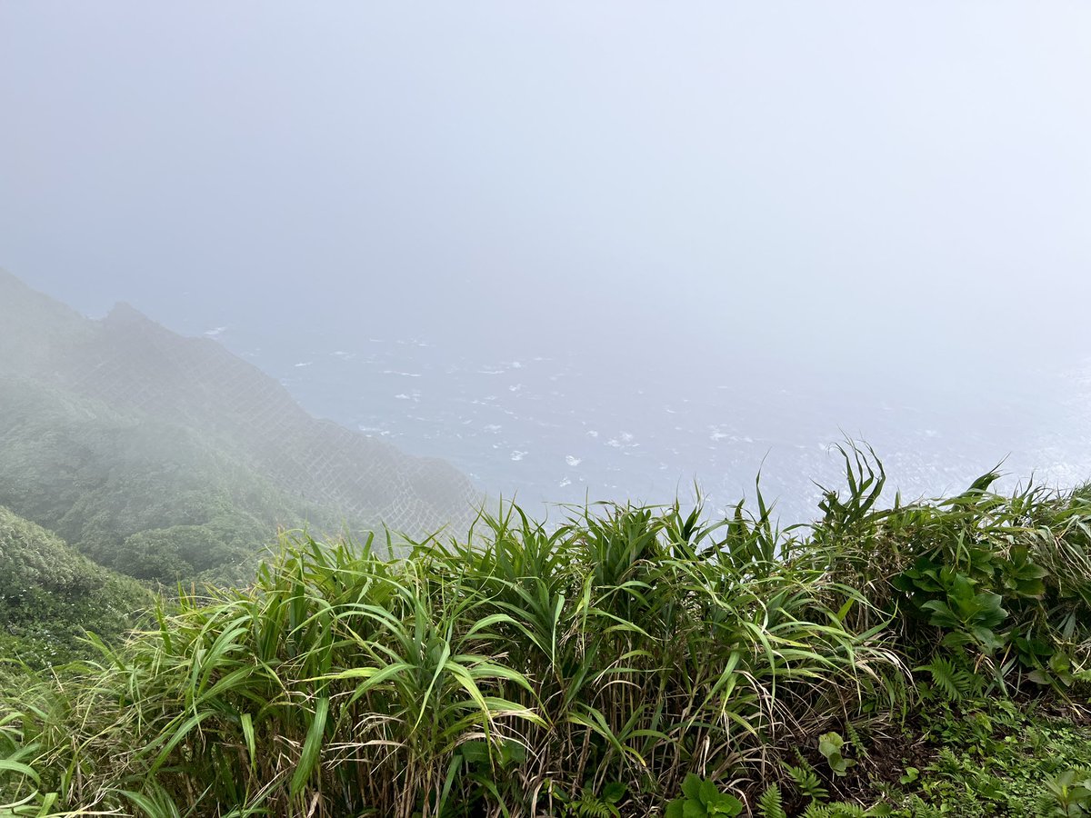 青ヶ島ちゃんねる▷かえｻﾝ🏝️『島むすめ！』 tweet media