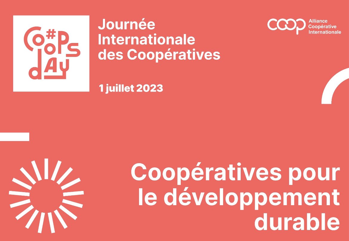 🌍🤝✨ Je suis fier de célébrer la #CoopsDay avec mes pairs à l'Institute for #Cooperative Digital Economy @platformcoop. Chaque jour renforce ma conviction et me fait croire qu’une autre économie est possible ✊🏽Joyeuse Journée intl des #coops à tous(tes) !#coops4sdgs #Madagascar