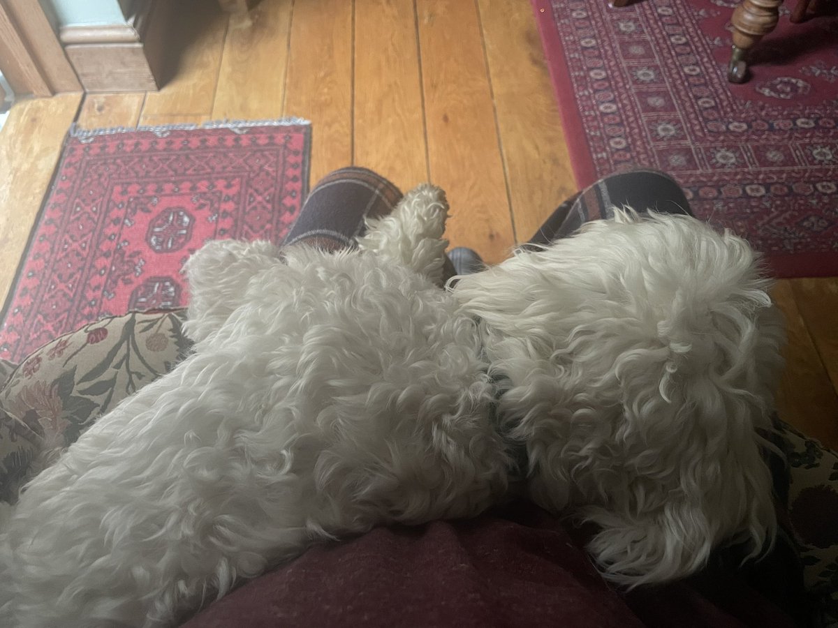 David Leaper tweet media