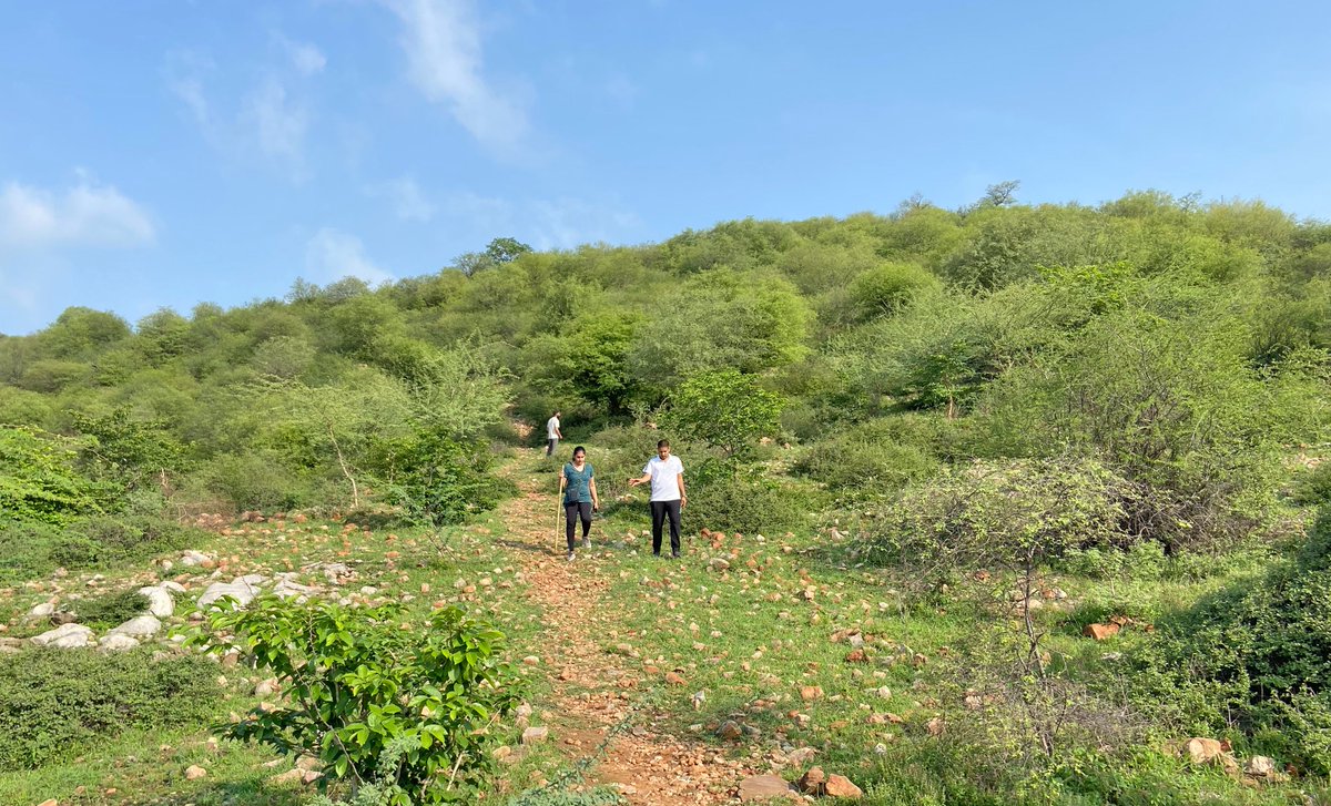 club_shangri's tweet image. Ventured on another adventure with enthusiasts from @celebaltech Explored the pristine beauty of Amber on our &apos;Parapet Trail&apos; #celebaltechnologies #celebaltech #SLAC #Jaipur