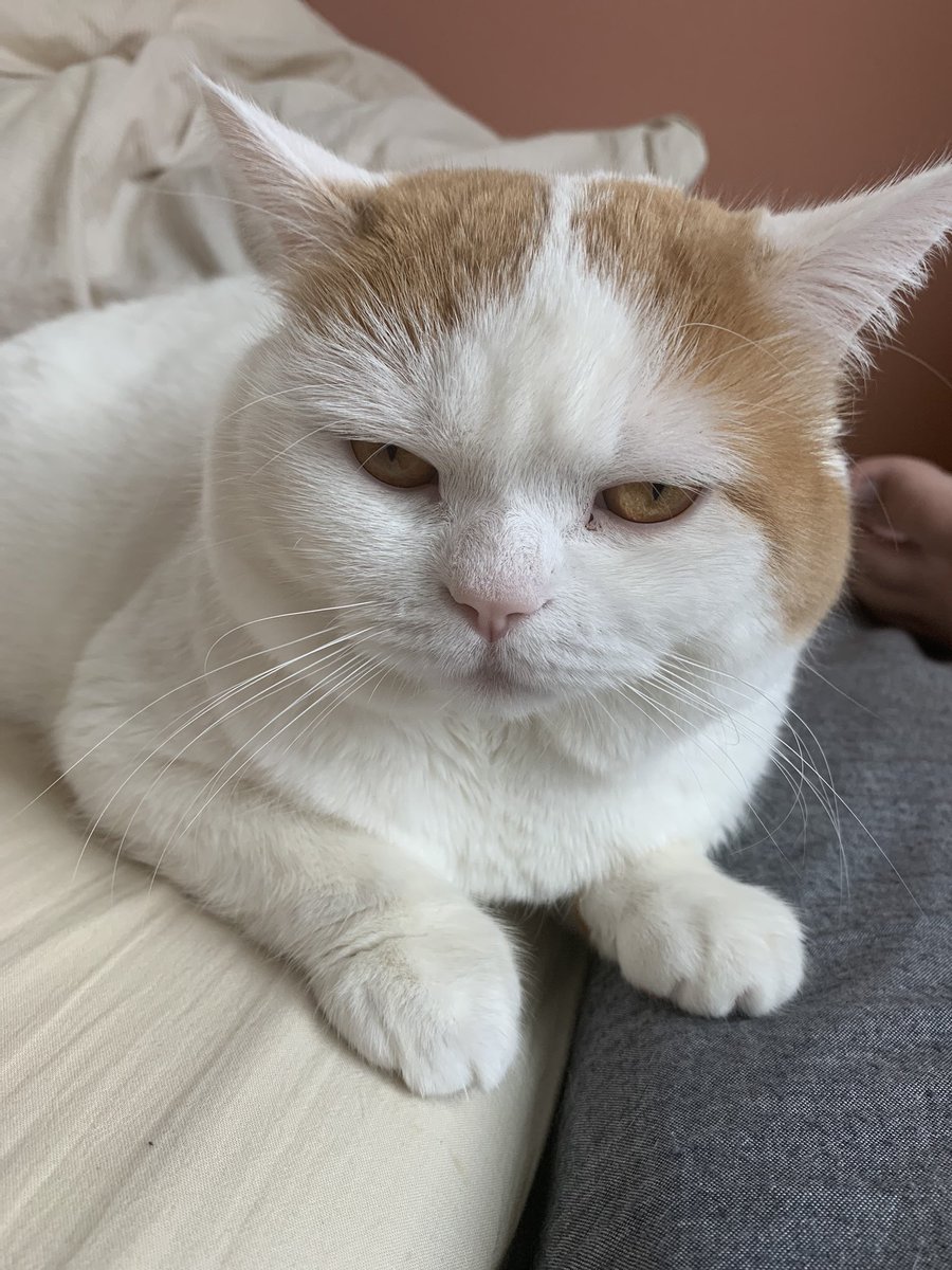 <a href="/Hijiki_to_Konbu/">いあ</a> ぼくは起きてますﾆｬｽ