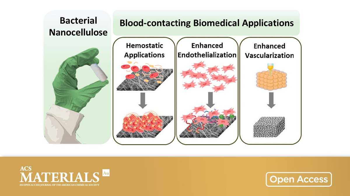 ACS_AMI's tweet photo. Bacterial nanocellulose-based #biointerfaces and biomimetic constructs for blood-contacting medical applications

By Maryam Badv et al @UCalgary @MaryamBadv @SchulichENGG

🔓 Open access in ACS Materials Au 👉 https://t.co/zJwTFv9xv8 https://t.co/yg0vzyEBpy