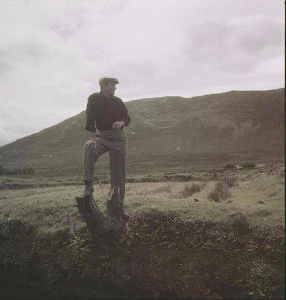 𝙵𝙾𝚁𝙳𝙸𝙰𝙽𝙾𝚂 tweet media