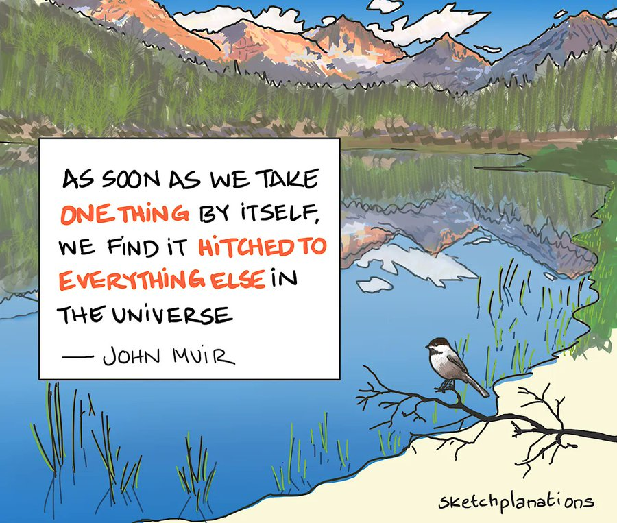 Many of the best examples of organisational/system change I've seen involve leaders creating the conditions for change so many people can test &amp; learn through small scale changes. But there's a risk of "a thousand flowers blooming" separately &amp; sub optimally if we don't see the
