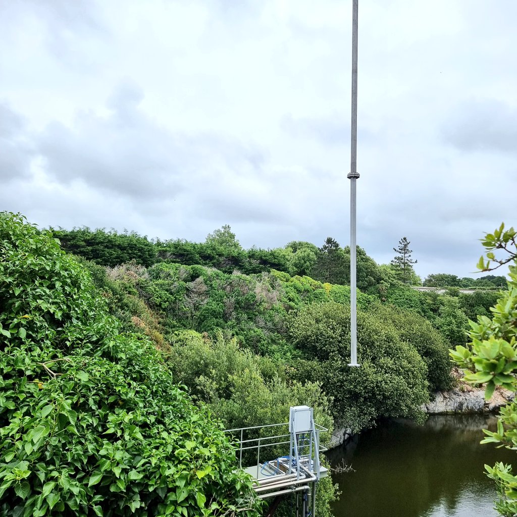 Adrian Abbott tweet media