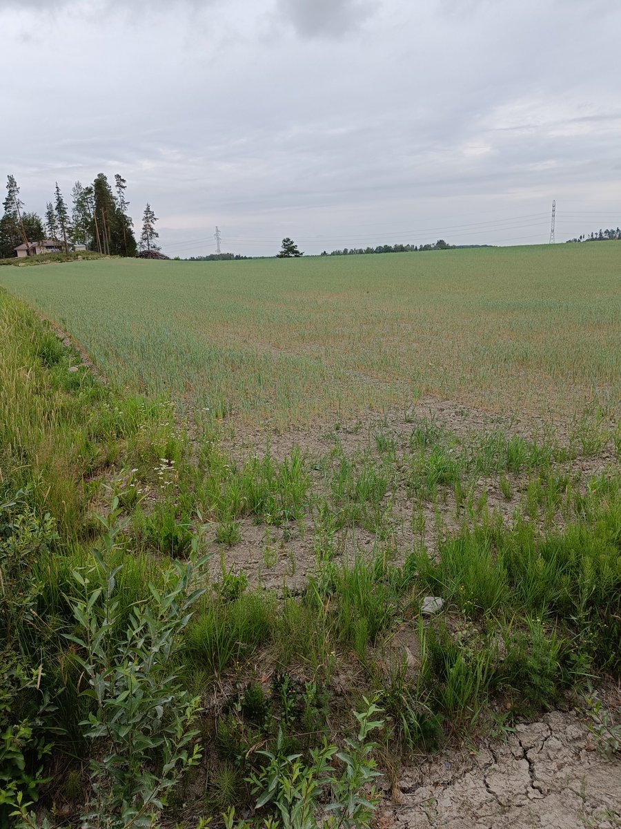 Olli Uusi-Eskola tweet media