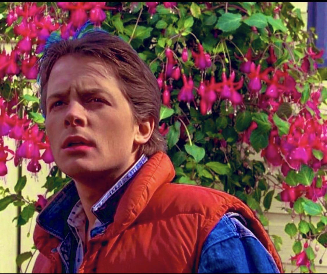 I saw Michael J Fox at the garden centre yesterday. 

He had his back to the fuchsias…