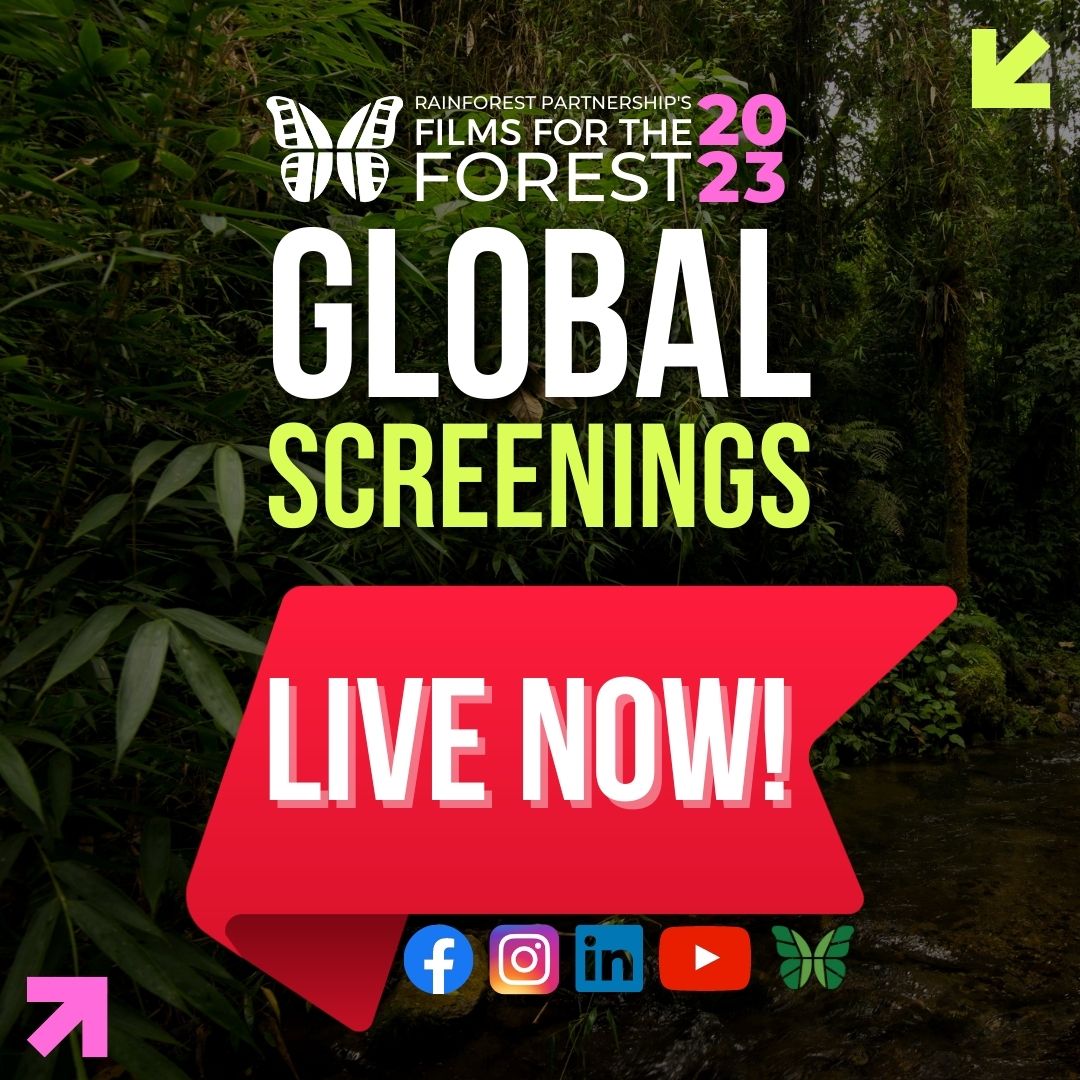 films4theforest's tweet photo. We're live! The second screening is happening.

July 1, 2023 - 5:00 PM AEST (12 AM PDT) - Asia, Australia, and the Pacific Islands

Watch now on any of our social networks:
 https://t.co/13HYsOfrbc
https://t.co/JoztH8ptSM
 https://t.co/hqlqQMrWnx
 https://t.co/ocOkcLvsk7 https://t.co/lxllaKVJju