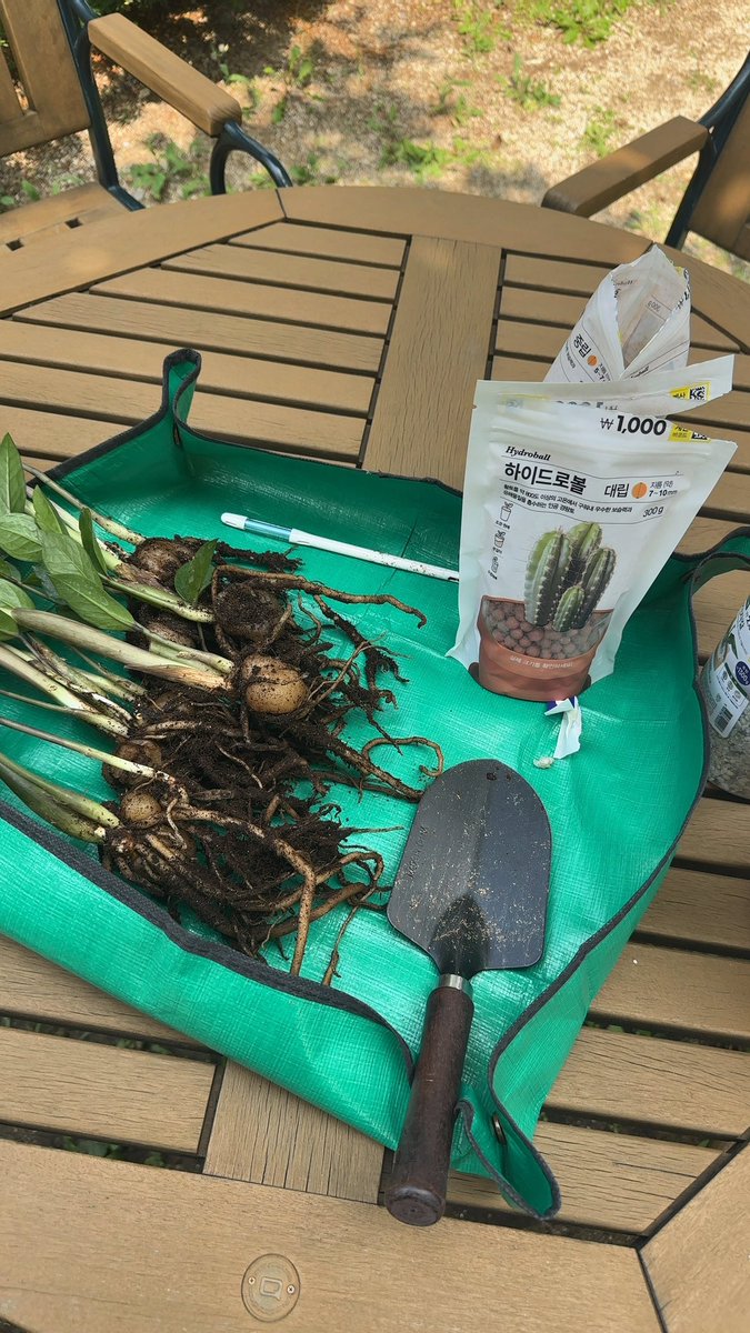 Junghwan Park tweet media