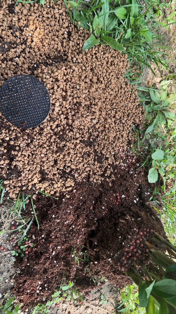 Junghwan Park tweet media