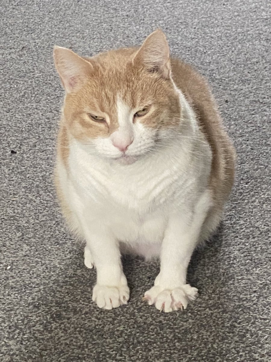 Percy👀 tweet media