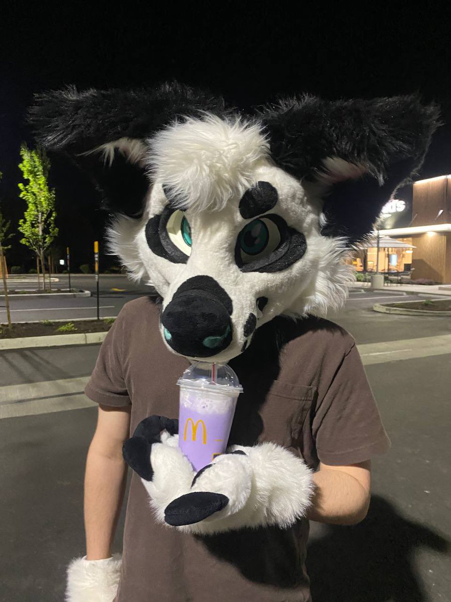 Mellow ✨ tweet media