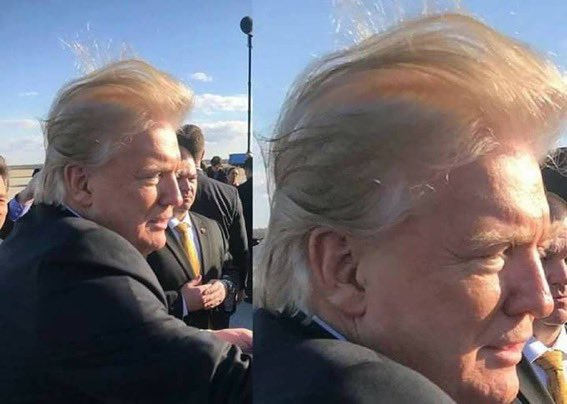 tomiahonen's tweet image. Indeed. Whatever you do, do not retweet this image of Trumpo and that thing which nests atop his head. Do not retweet this image of the massive bald spot that Trump is trying to hide. Do not retweet this, we do not want Trumpo sad