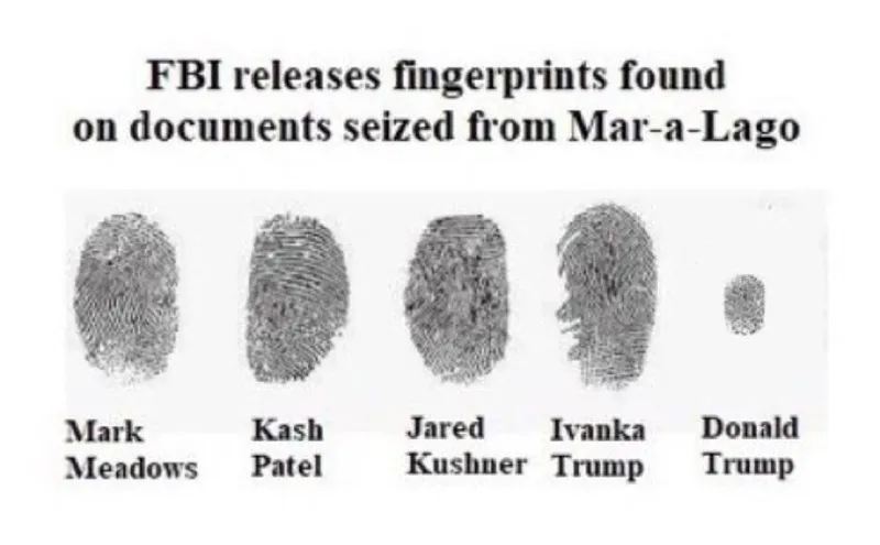 gstuedler's tweet image. #fingerprints