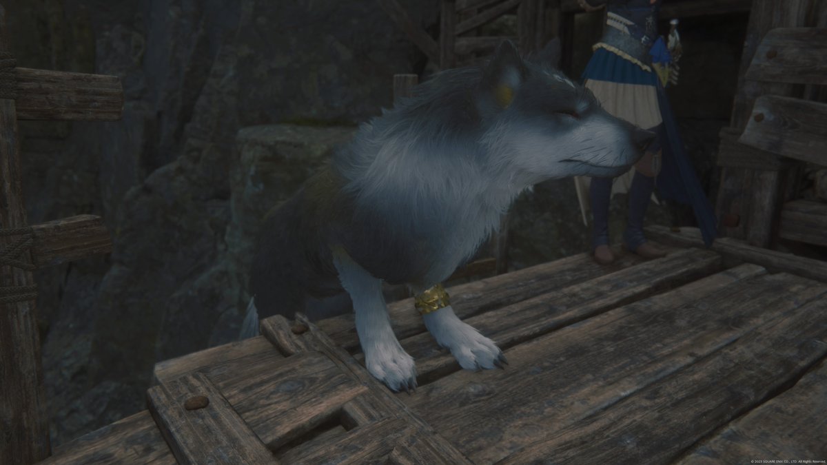 後ろ足落ちてるかわいい#PS5Share, #FINALFANTASYXVI