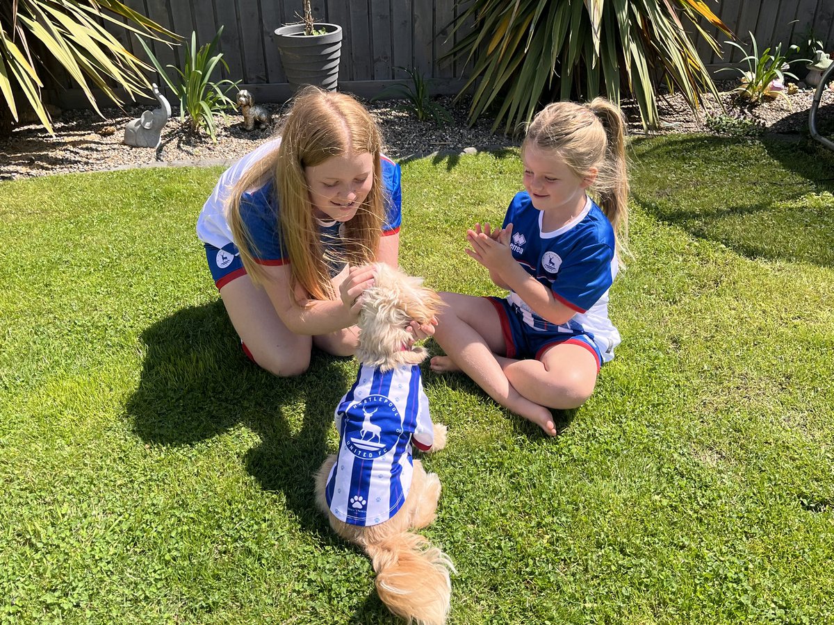 RebeccaReadshaw's tweet photo. @Official_HUFC They couldn’t resist getting the dog one too! 🐶 https://t.co/WWUuD0RMVZ