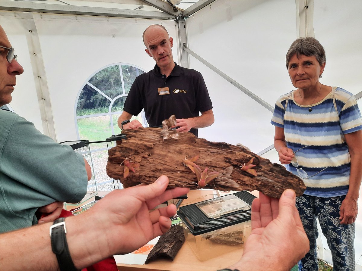 Celebrating <a href="/_BTO/">BTO</a> 90th birthday at The Nunnery in Thetford. Lovely to see many members and volunteers enjoying the beautiful grounds and socialising.