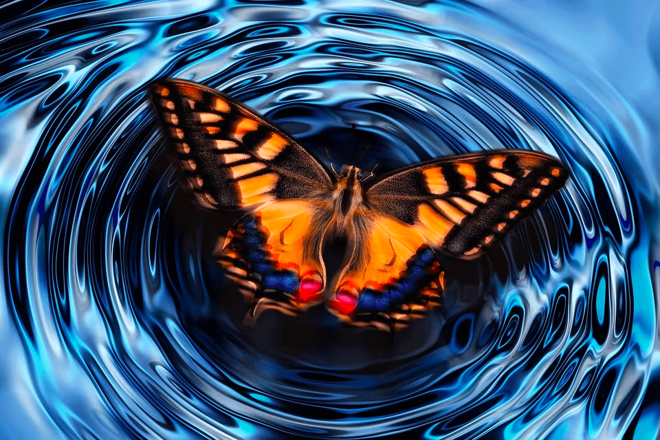 The butterfly effect is one of the most powerful mental models. Here ...
