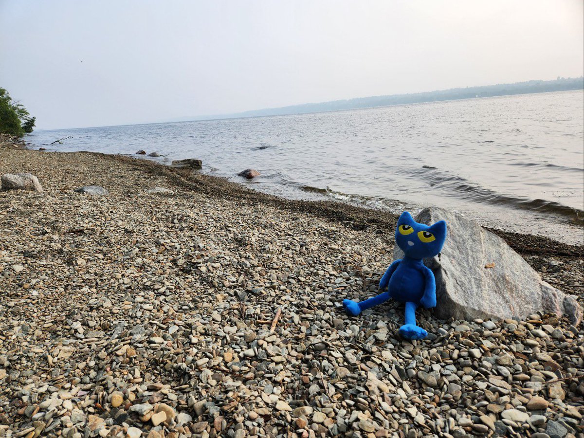 Megan Venner (@msvslibrary) on Twitter photo Pete the <a href="/SouthMarchPS/">South March PS</a> Library Cat started his vacation adventures today with a trip to the Ottawa River. What else do you think heāll get up to this summer? #schoollibraryjoy <a href="/OCDSBLibrairies/">Libraries in the OCDSB</a> Pete the <a href="/SouthMarchPS/">South March PS</a> Library Cat started his vacation adventures today with a trip to the Ottawa River. What else do you think heāll get up to this summer? #schoollibraryjoy <a href="/OCDSBLibrairies/">Libraries in the OCDSB</a>
