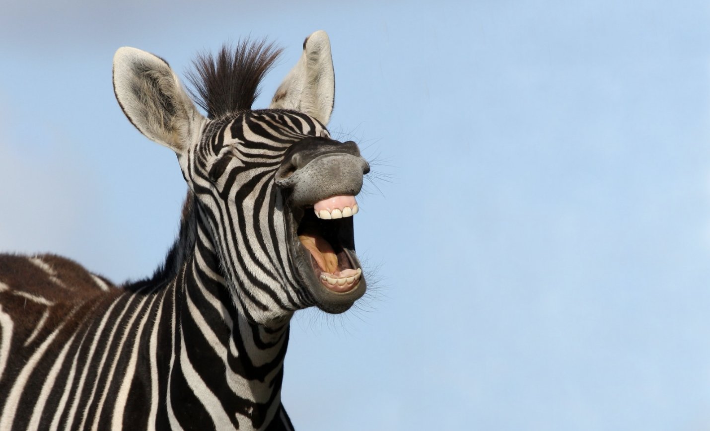 NTV Kenya on Twitter "It's International Jokes Day. Comment with a