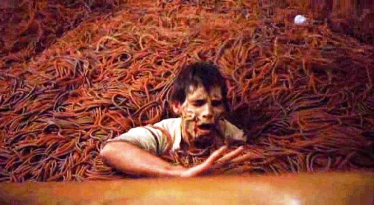 EugWSerra's tweet photo. On July 30, 1976, Squirm was released. #Squirm #DonScardino
#PatriciaPearcy #RADow
#JeanSullivan #PeterMacLean
#FranHiggins #WilliamNewman https://t.co/JyFkXmqKgT