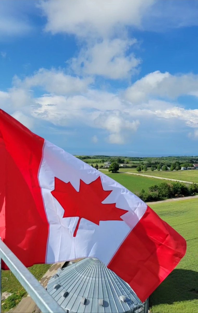 Jeremy Davison (@fairfield1farms) on Twitter photo 