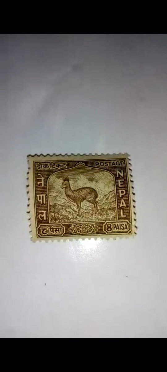 @stampswith_sara FOR SALE M:-+91 7974468622 WHATSAPP