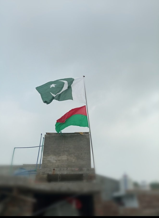 #عید_مبارک_پاکستان_کی_جان
@TeamiPians
سکون و عزت، وفا و الفت، سبھی دیا تھا ہمیں تو اس نے
گنوا کے اب ہم یہ پوچھتے ہیں کہ کیوں خفا ہے یہ سبز پرچم