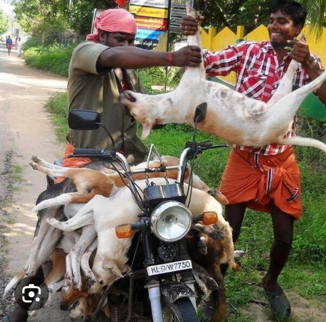 navneet_AWCS's tweet photo. As Simple As ABC: Kerala's Cruel Attitude Towards Dogs Sparks Outrage

In spite of the ABC programme being available, Kerala continued to kill dogs. In 2015, in a state wide pogrom, almost one lakh dogs were murdered.
#stopkeralakillings
@aajtak
@payaldhawanTOI
@PMOIndia @CMOKerala