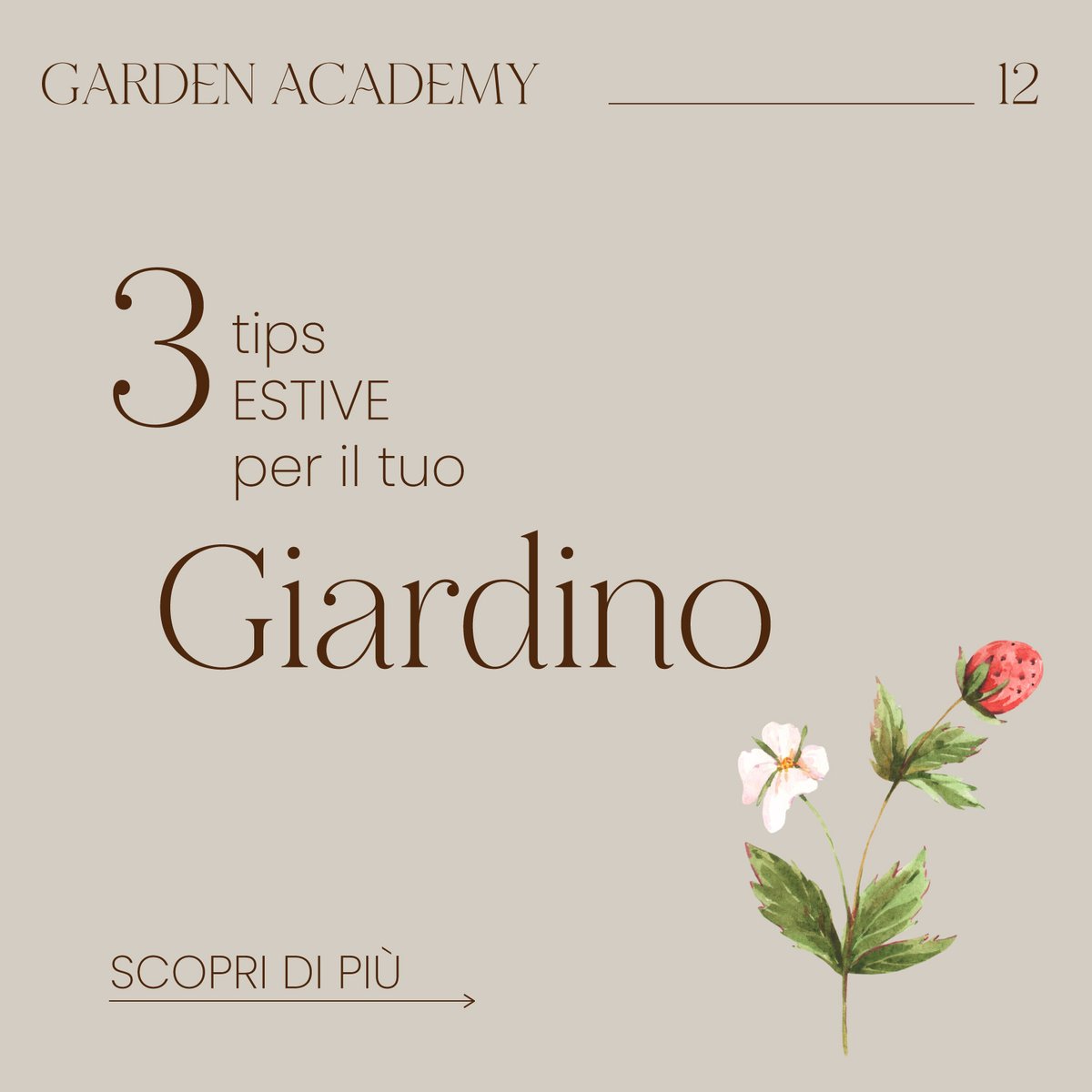 GiardiniMGF's tweet photo. #GardenAcademy 12 🎓🌿 
Il caldo in arrivo? Non temere, ecco 3 piccoli consigli per prenderti cura del tuo giardino nei mesi più caldi!  Per saperne di più vsita il nostro sito: https://t.co/6ZDXnXGiBE 
Seguici per scoprire le nuove lezioni ✔️ https://t.co/iM0RzJ0hHb