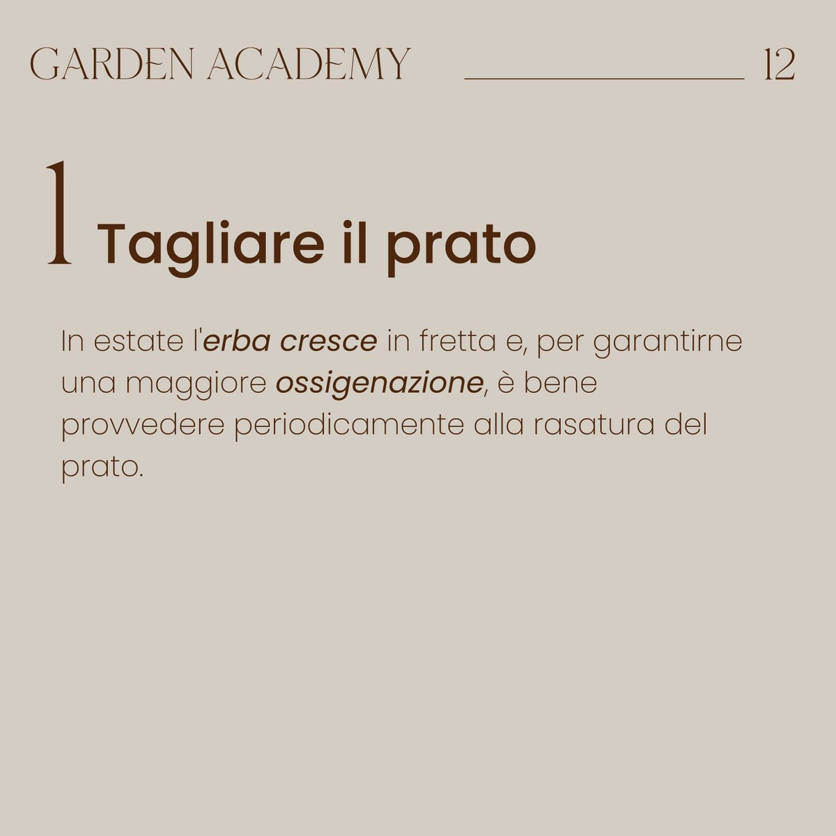 GiardiniMGF's tweet photo. #GardenAcademy 12 🎓🌿 
Il caldo in arrivo? Non temere, ecco 3 piccoli consigli per prenderti cura del tuo giardino nei mesi più caldi!  Per saperne di più vsita il nostro sito: https://t.co/6ZDXnXGiBE 
Seguici per scoprire le nuove lezioni ✔️ https://t.co/iM0RzJ0hHb