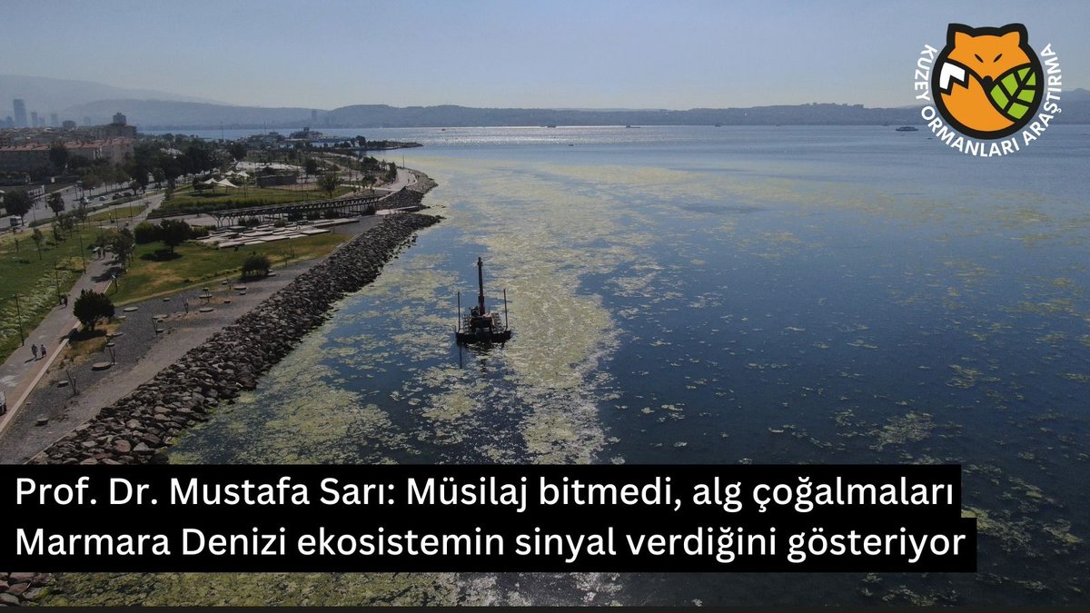 Prof. Dr. Mustafa Sarı: Marmara Denizi ekosistemi sinyal veriyor

Prof. Dr. Sarı "Müsilaj bir sonuç. Her an yeniden ortaya çıkabilir. Şu anda aşırı alg çoğalmalarını görüyorsunuz. Bu bir şeyin geldiğini, yani ekosistemin sinyal verdiğini gösteriyor" dedi.

dha.com.tr/foto-galeri/pr…