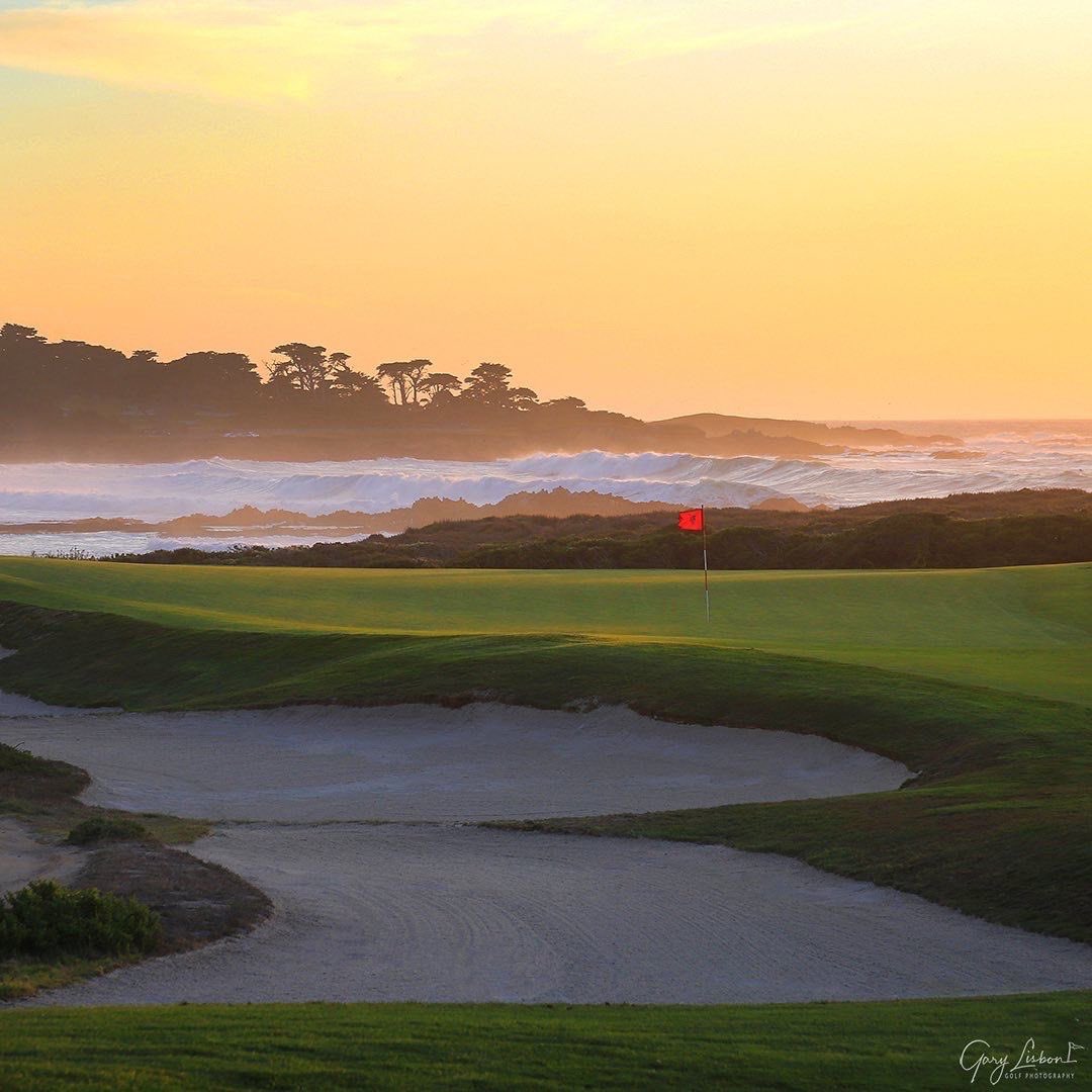 Evin Priest tweet media