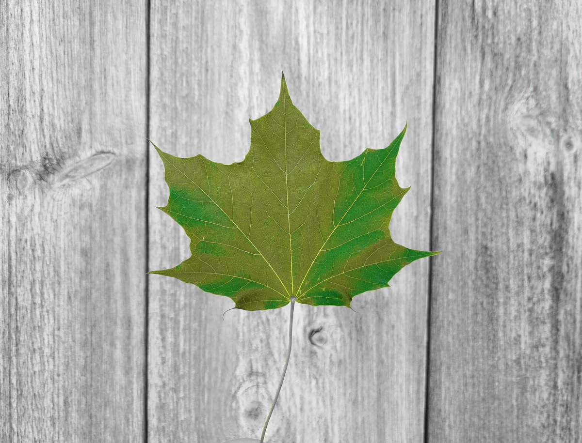 Murphy's Farm Market & Bakery tweet media