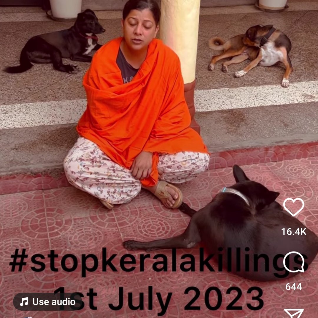 #stopkeralakilling...plz don't kill innocent dogs.This is very brutal #NarendraModi do something about this please take action