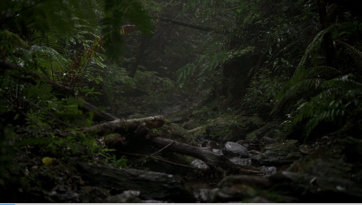 Bon, eh bien maintenant que je suis rentré, petit bilan numérique de ces deux mois à Okinawa :
-73 contributeurs et contributrices sur le financement participatif (c'était y a un an et demi mais ça reste super important)
-559 km marchés
-6 zones différentes prospectées