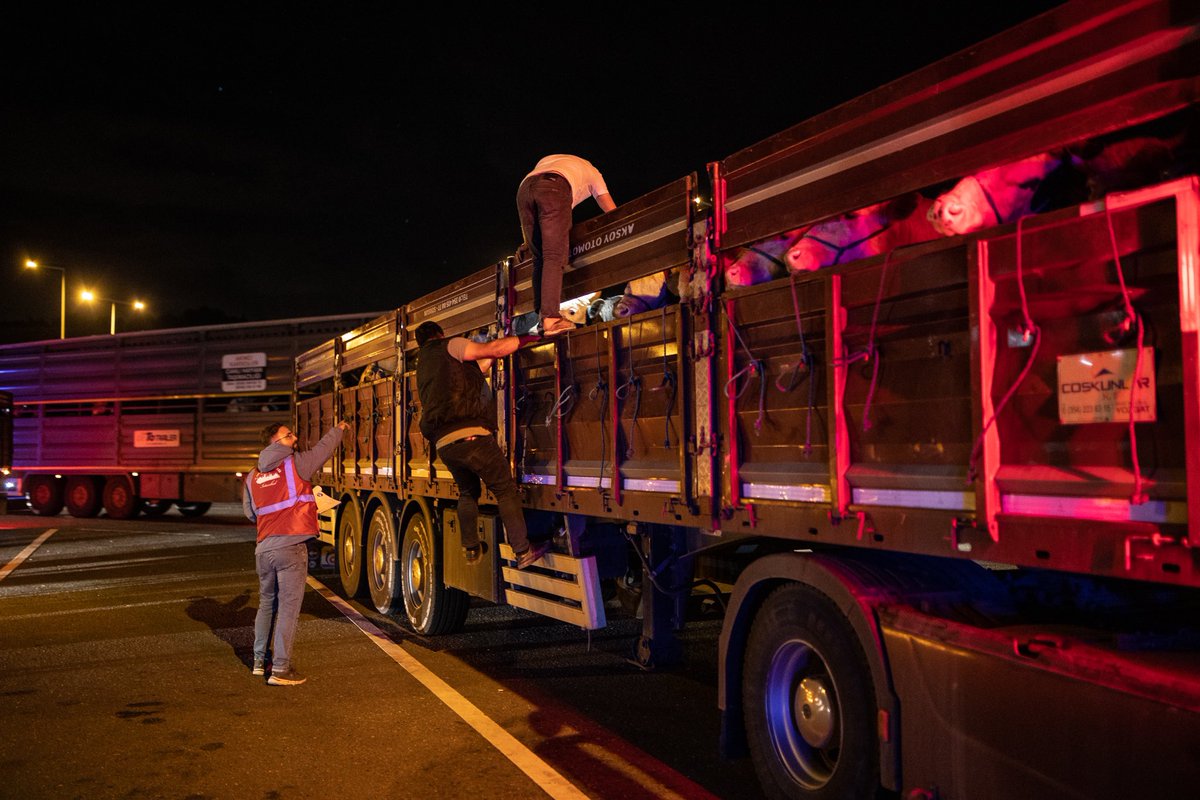 İbrahim Yumaklı tweet media