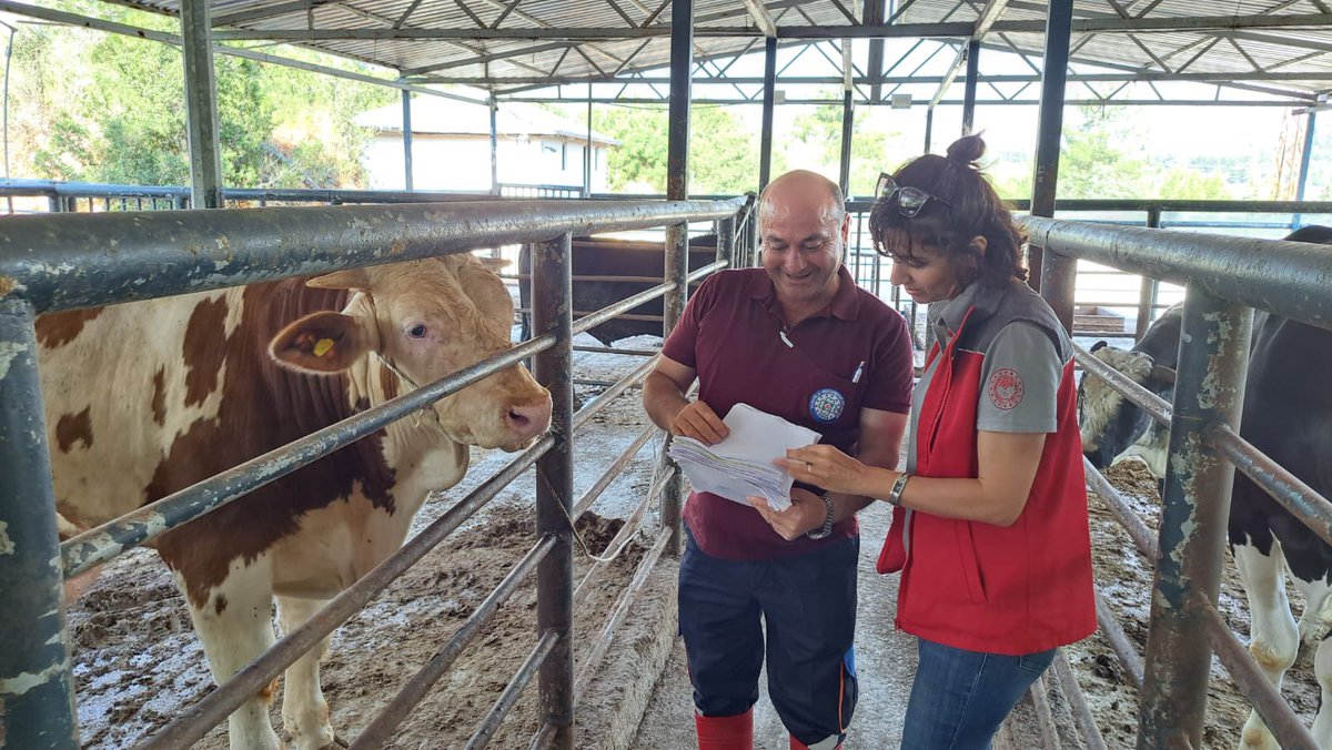 İbrahim Yumaklı tweet media