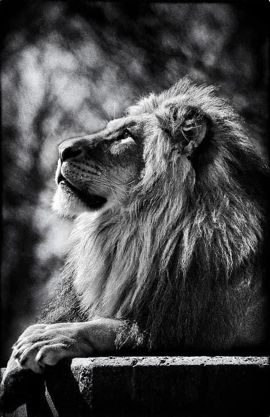 Warriortotruth's tweet image. God is going to use everything your going through, for you to grow through! 🙌  #KeepSeeking #Yield #SpeakLife ❤️