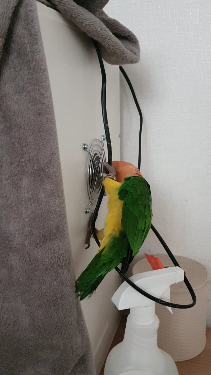 아기들 낮잠 자야해요, 선생님.
어허 거기 올라가지마세요. 에헤이