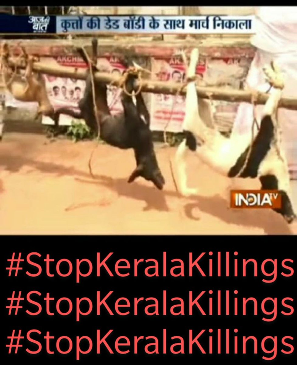 No one has the right to kill the kerala community dogs
#stopkeralakilling #BoycottKerala #StopKillingDogs #StopKeralaKillings #AnimalCruelty #StopAnimalCruelty #Kerala #India